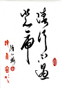 not-encounter-rhinos-tiger